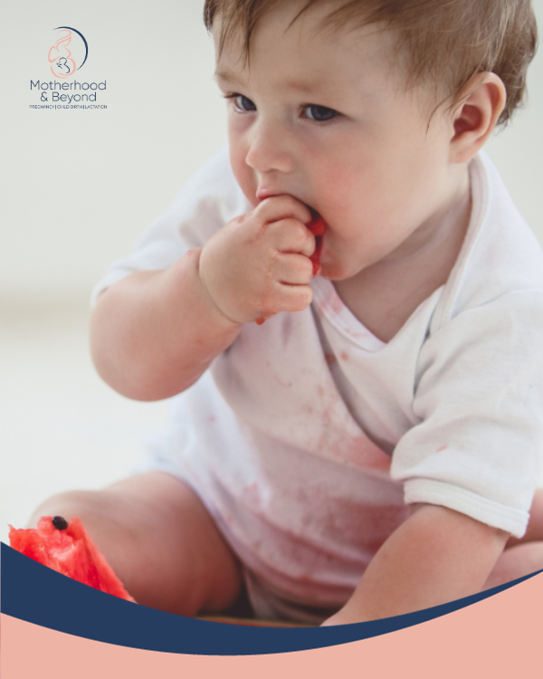دورة ادخال الطعام للطفل الرضيع - نوران ابراهيم